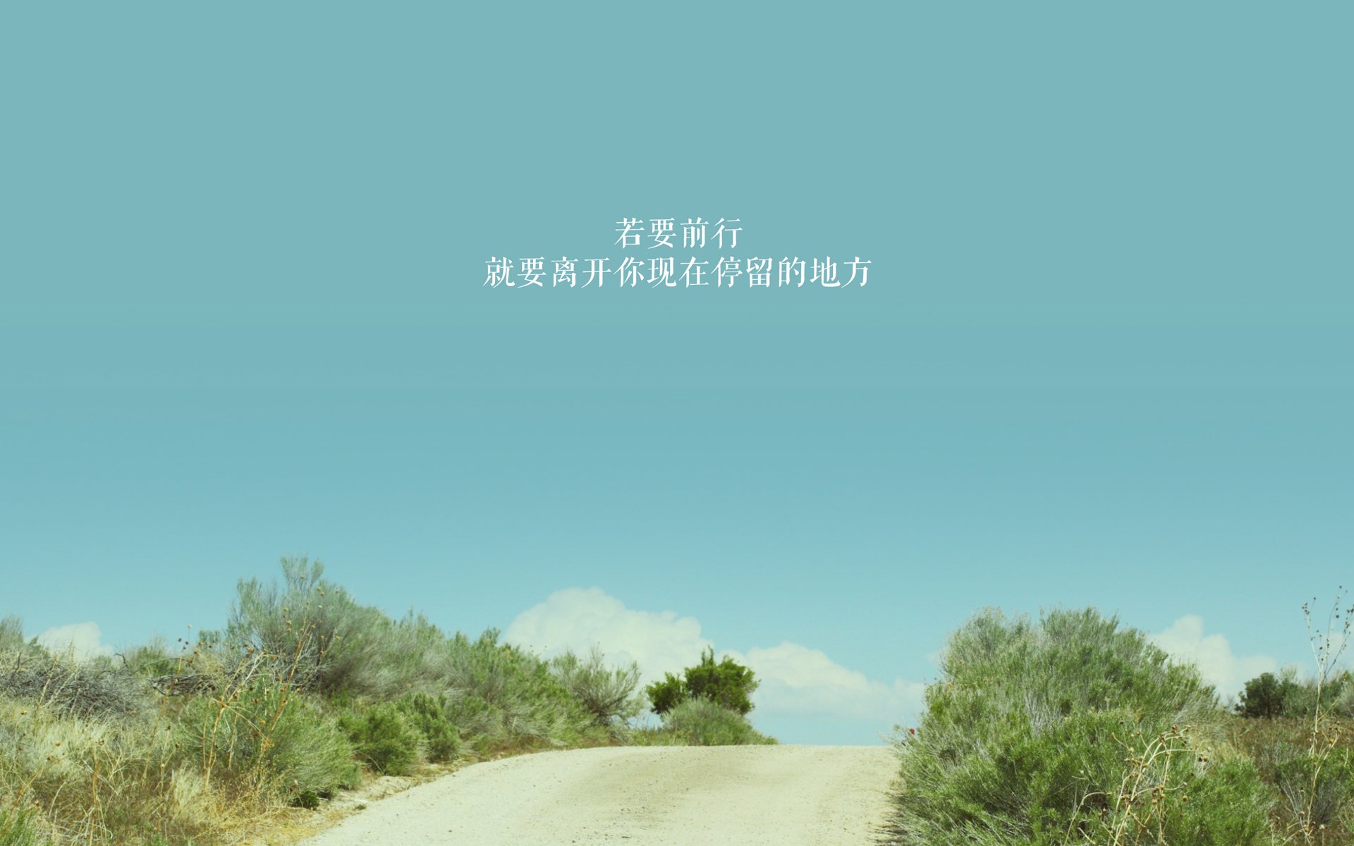 刀锋上的三毫米，许昕与那记绝杀球的物理与心跳