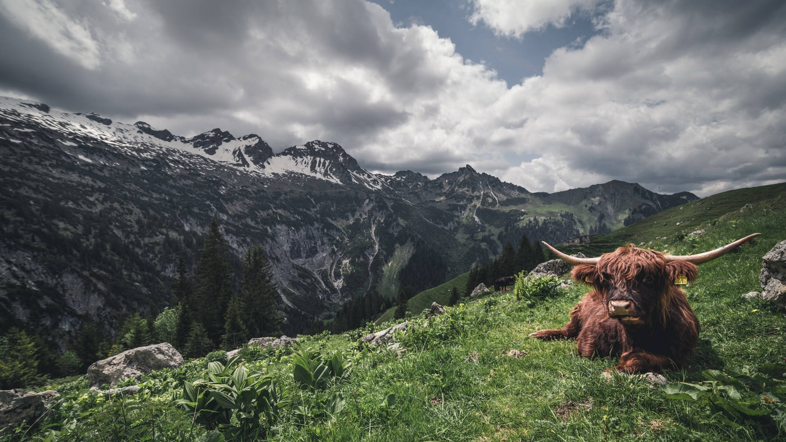 从美网奇迹到戴维斯杯逆转，辛纳如何定义网球的不可逆转时刻