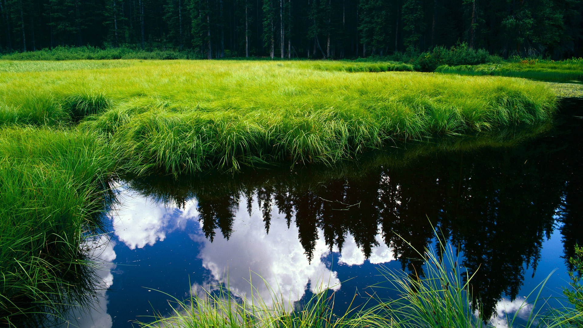 绿巨人的觉醒,阿斯顿·马丁如何以一场手术刀式的胜利解剖哈斯困局,以及塞恩斯那颗不容忽视的野心