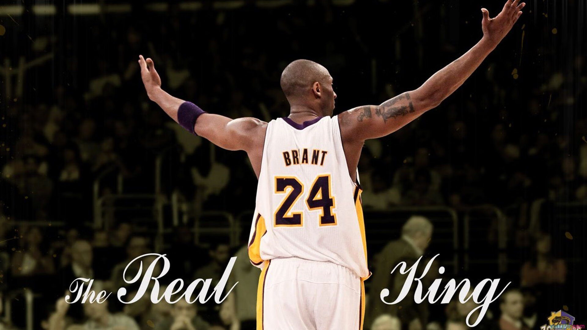 蔚蓝狂想曲,当意大利浪漫碾过北欧坚冰