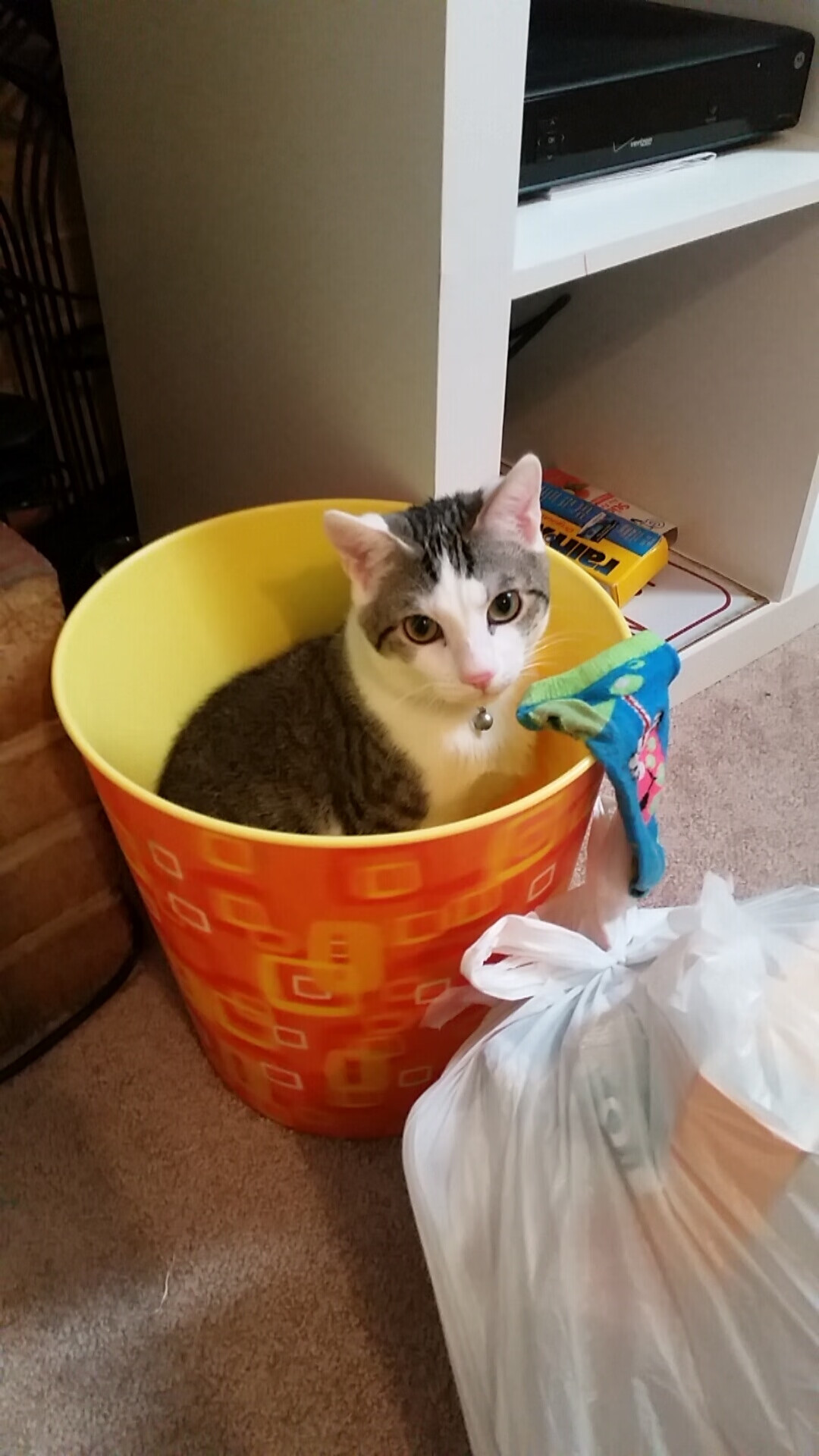 拉沃尔杯的胜利，如何轻取蒙特卡洛大师赛的风头？蒂姆高光表现解析