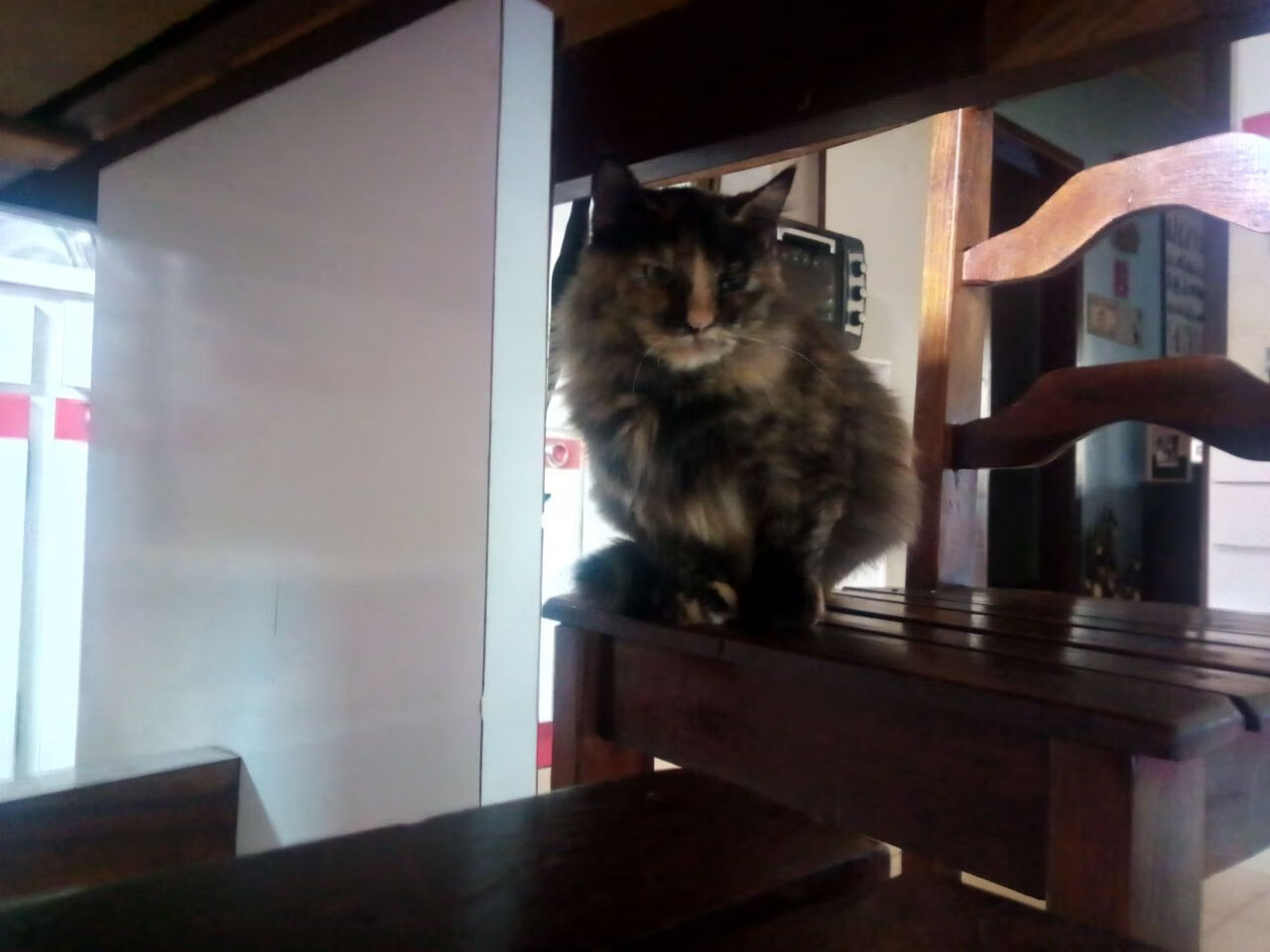 一浪高过一浪,恩比德的得分潮与奇才的失语症