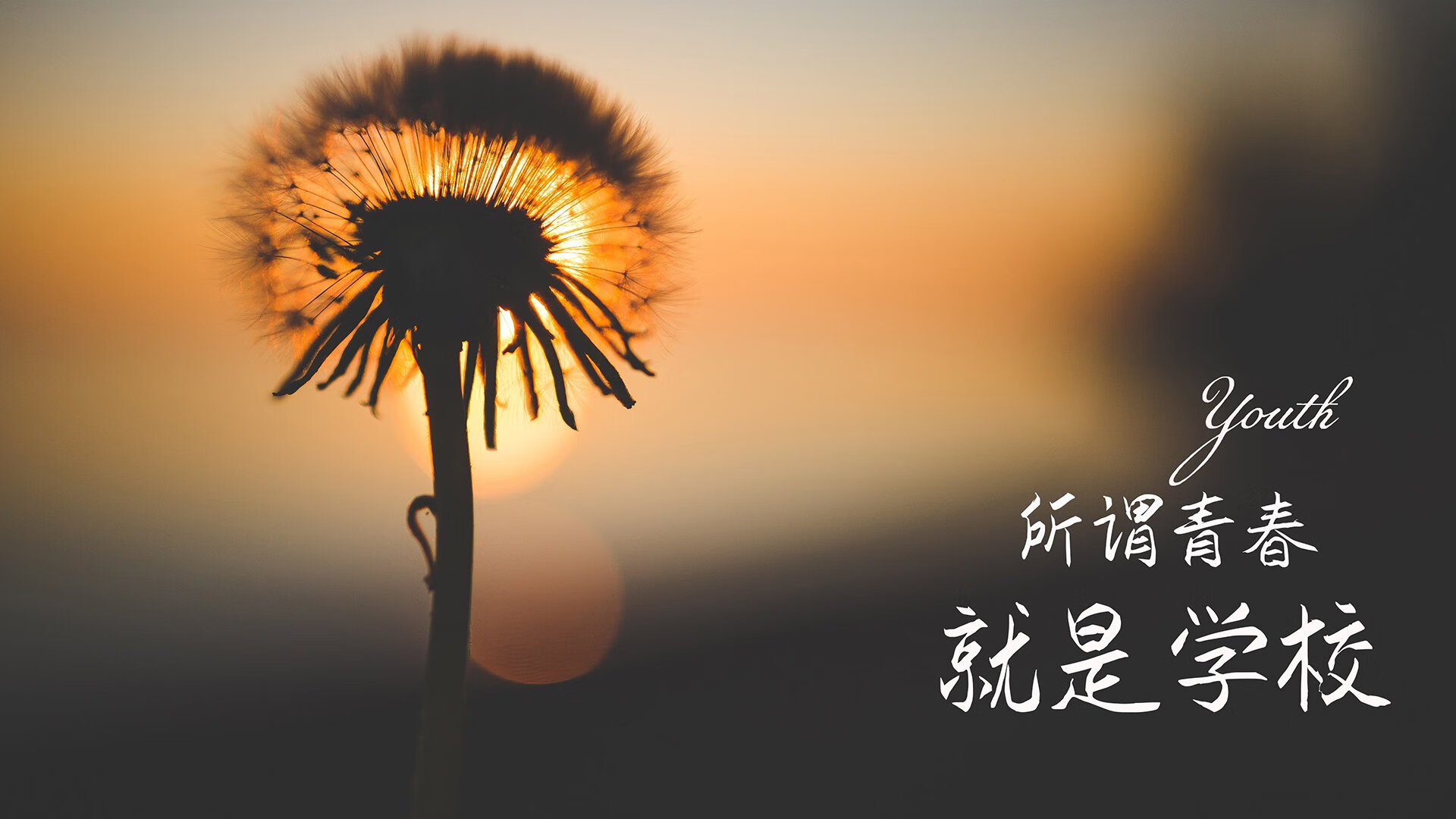 资本的半场,当沙漠资本在第45分钟拉开红魔