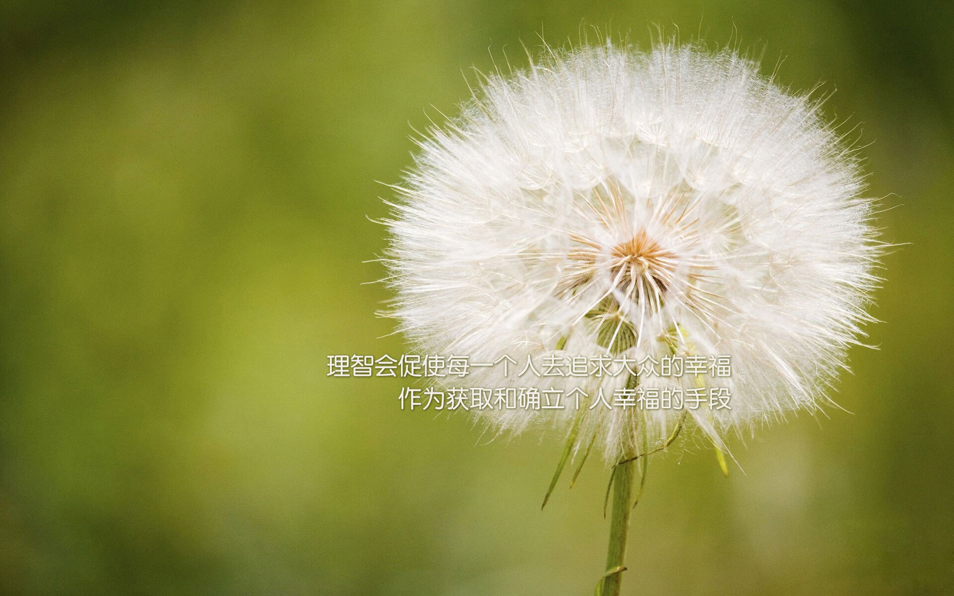 跨界碰撞!鹈鹕强行终结吉林队连胜,神奇哈利伯顿打疯主宰赛场