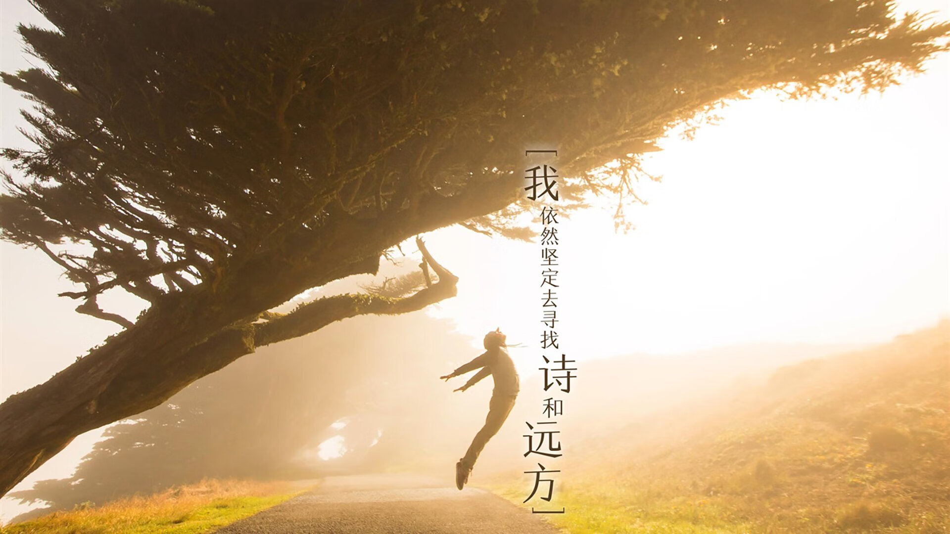波斯铁骑的绝唱，佩德里导演B组生死战，伊朗逆转喀麦隆创世界杯神话