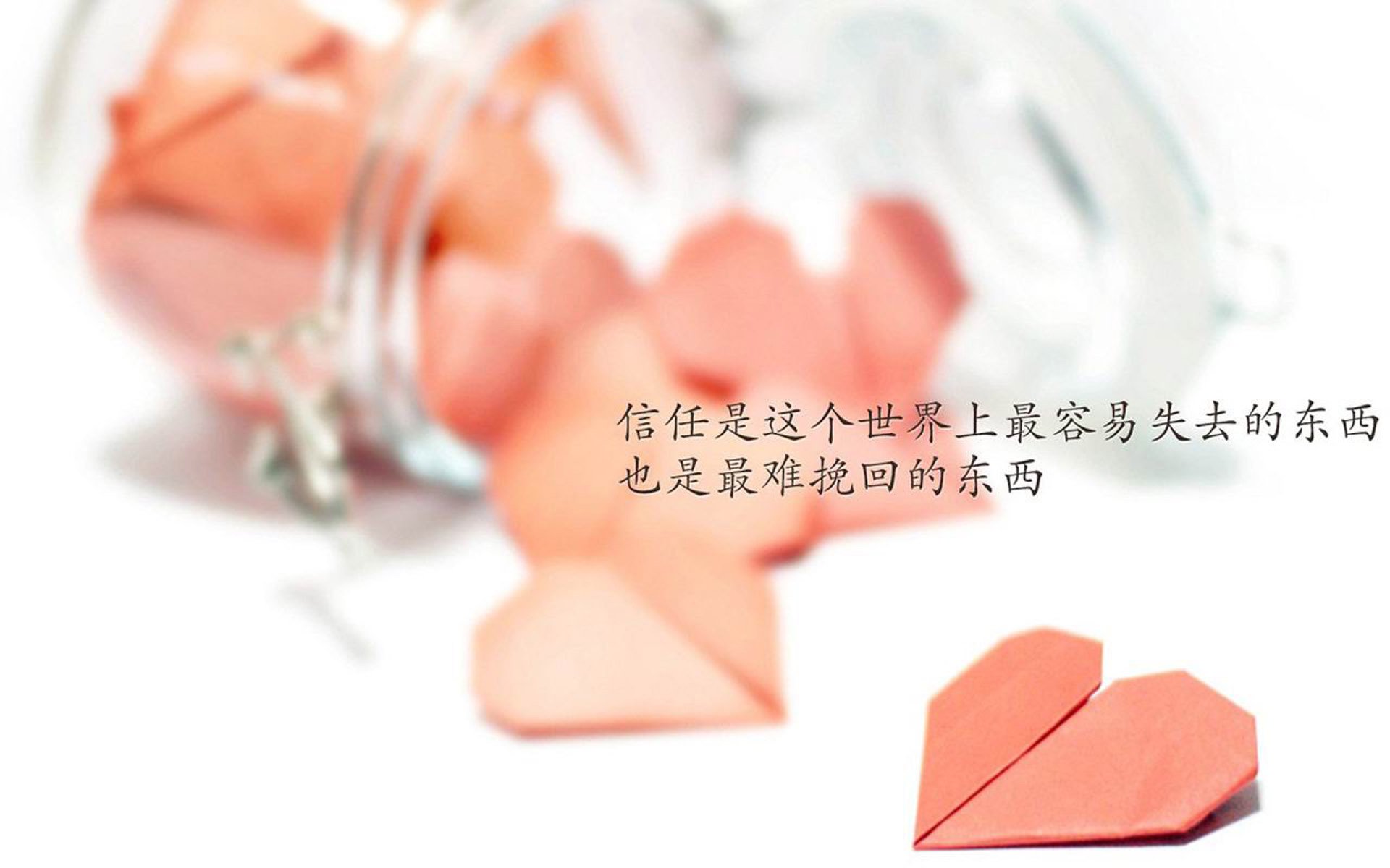 2026世界杯C组关键战,匈牙利碾压喀麦隆,莱万多夫斯基带队取胜—一场属于铁血中锋的复仇与加冕