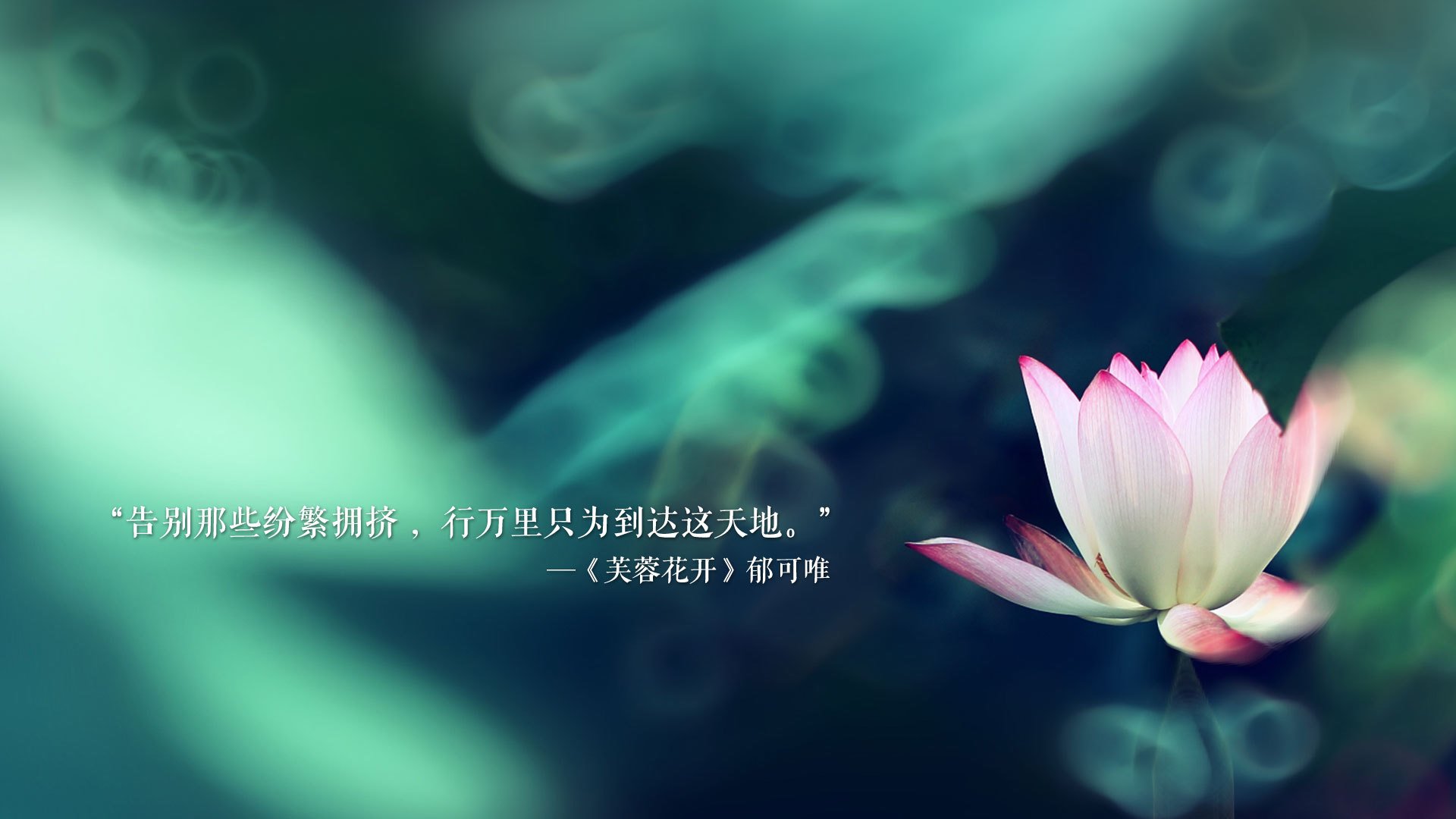 沙漠奇迹还是足坛狂想？2026世界杯A组，印度横扫罗马尼亚，贝林厄姆独舞世纪之战